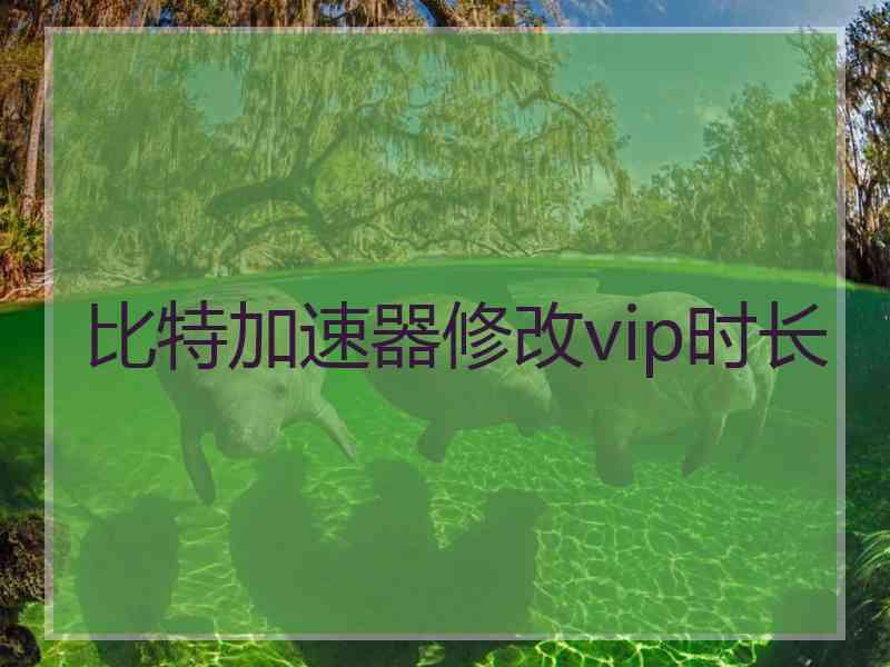 比特加速器修改vip时长